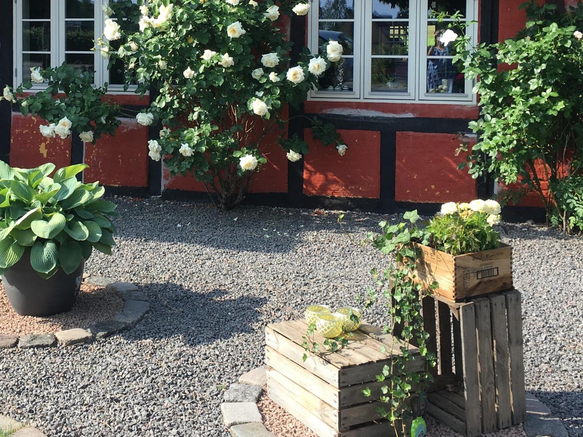 Bed & Breakfast Lolland Bed & Breakfast Sollested (Lolland)